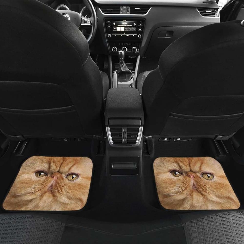 Persian Cat Car Floor Mats Funny Cat Face 112428 - YourCarButBetter