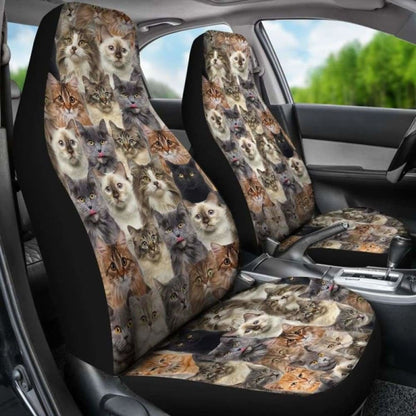 Cat Full Face Car Seat Covers 112428 - YourCarButBetter