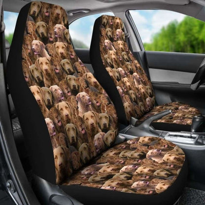 Chesapeake Bay Retriever Full Face Car Seat Covers 115106