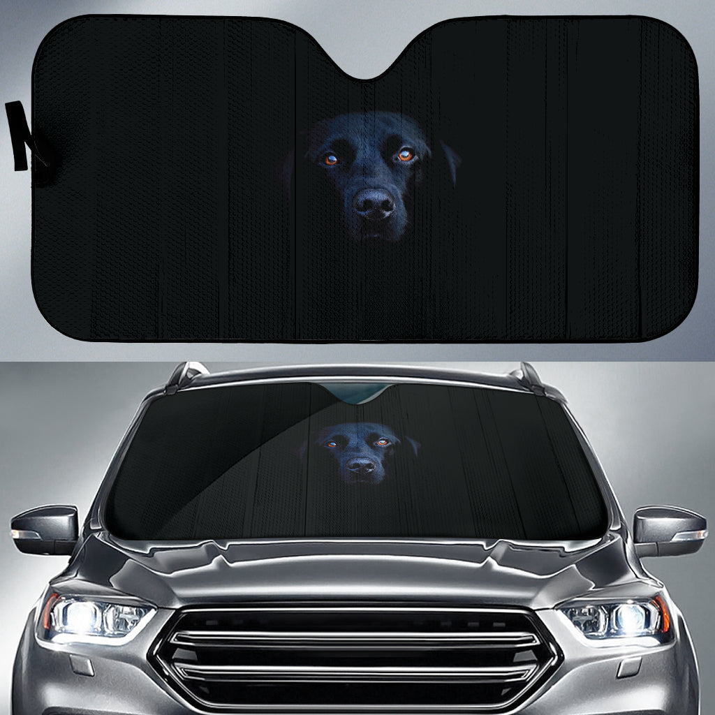 Black Labrador Retriever Face Emerging from Darkness Car Auto Sun Shades 211502