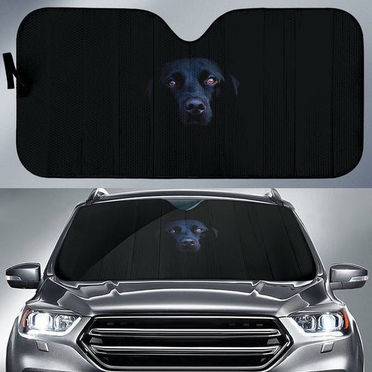 Black Labrador Retriever Face Emerging from Darkness Car Auto Sun Shades 211502