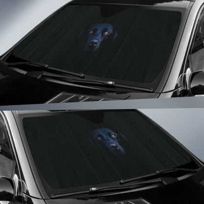 Black Labrador Retriever Face Emerging from Darkness Car Auto Sun Shades 211502