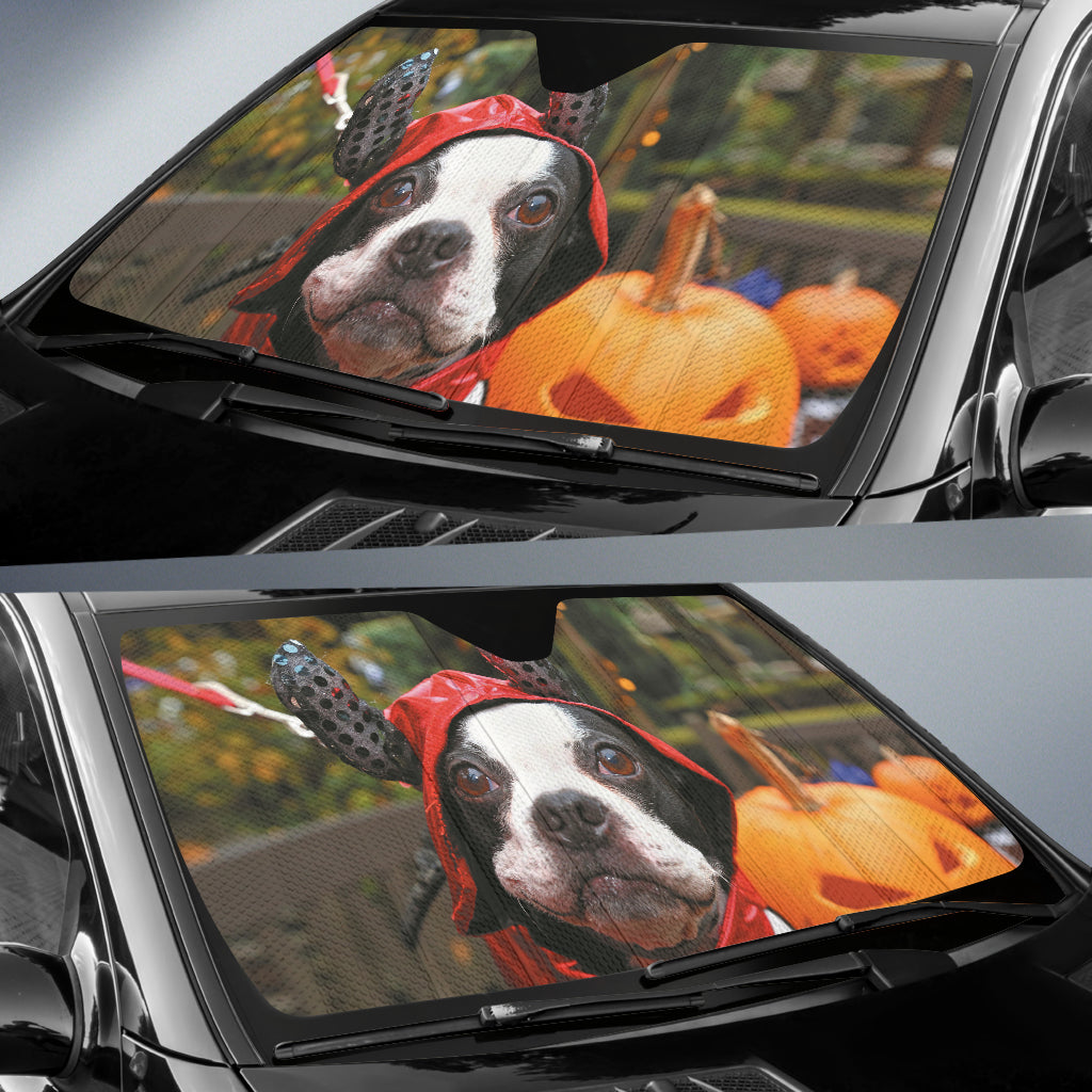 Adorable Boston Terrier Dressed for Halloween Night Car Auto Sun Shades 211502