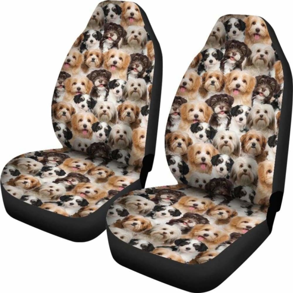 Havanese Full Face Car Seat Covers 195016 - YourCarButBetter