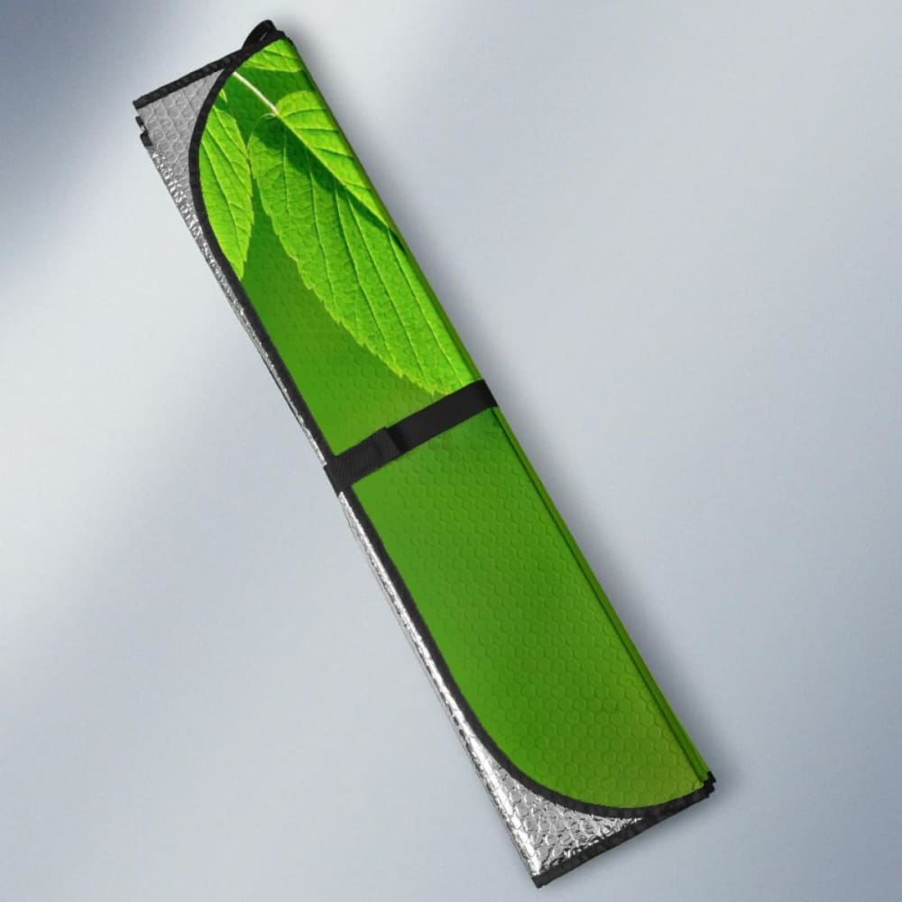 Hummingbird Green Background Blur Background Car Sun Shade 460402 - YourCarButBetter