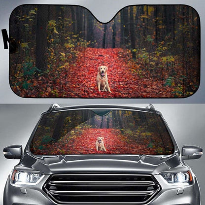 Labrador Retriever Autumn Foliage Forest Hd Car Sun Shade 172609 - YourCarButBetter
