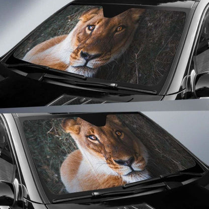 Lioness Female Lion Close Up 4K Car Sun Shade 172609 - YourCarButBetter