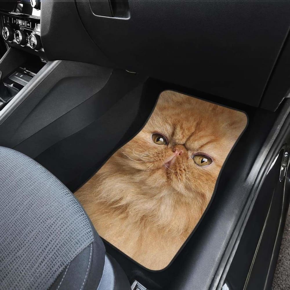 Persian Cat Car Floor Mats Funny Cat Face 112428 - YourCarButBetter
