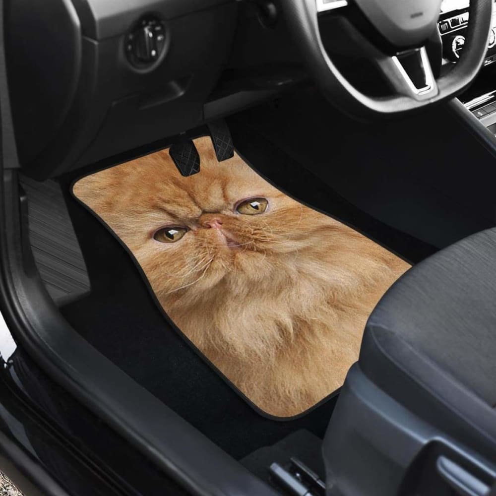 Persian Cat Car Floor Mats Funny Cat Face 112428 - YourCarButBetter