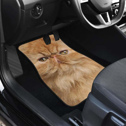 Persian Cat Car Floor Mats Funny Cat Face 112428 - YourCarButBetter