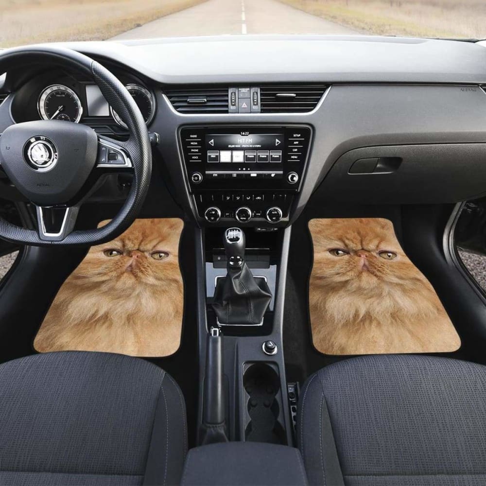 Persian Cat Car Floor Mats Funny Cat Face 112428 - YourCarButBetter