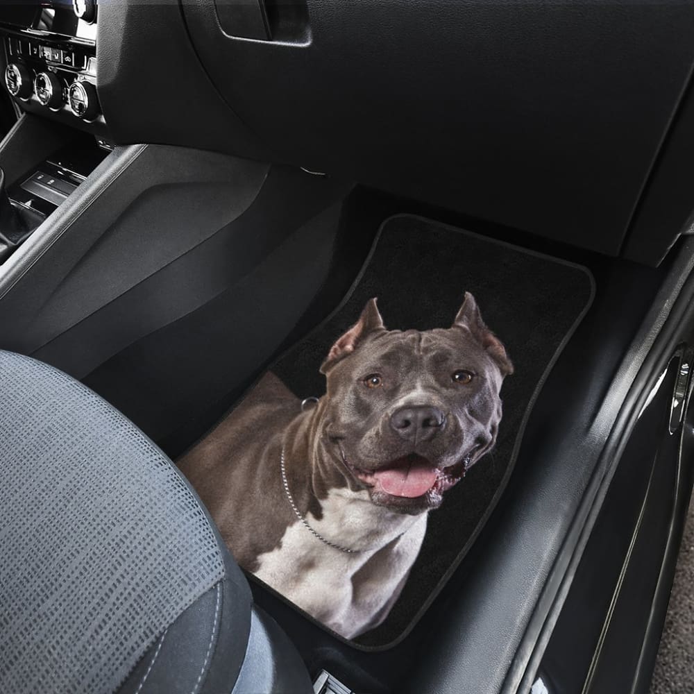 Pit Bull Design Car Floor Mats Colorful Back 210802