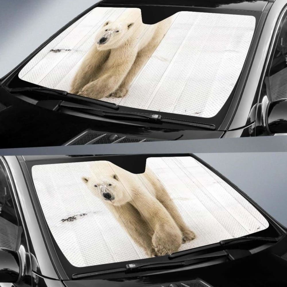 Polar Bear White Bear Snow Sea Ice Hd Car Sun Shade 102507 - YourCarButBetter
