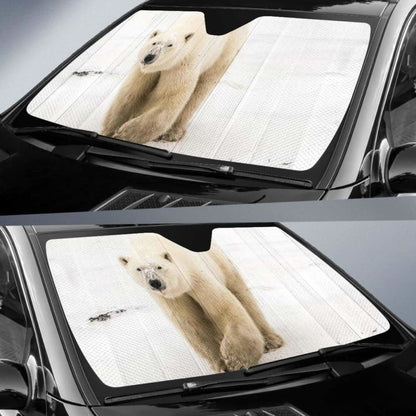 Polar Bear White Bear Snow Sea Ice Hd Car Sun Shade 102507 - YourCarButBetter